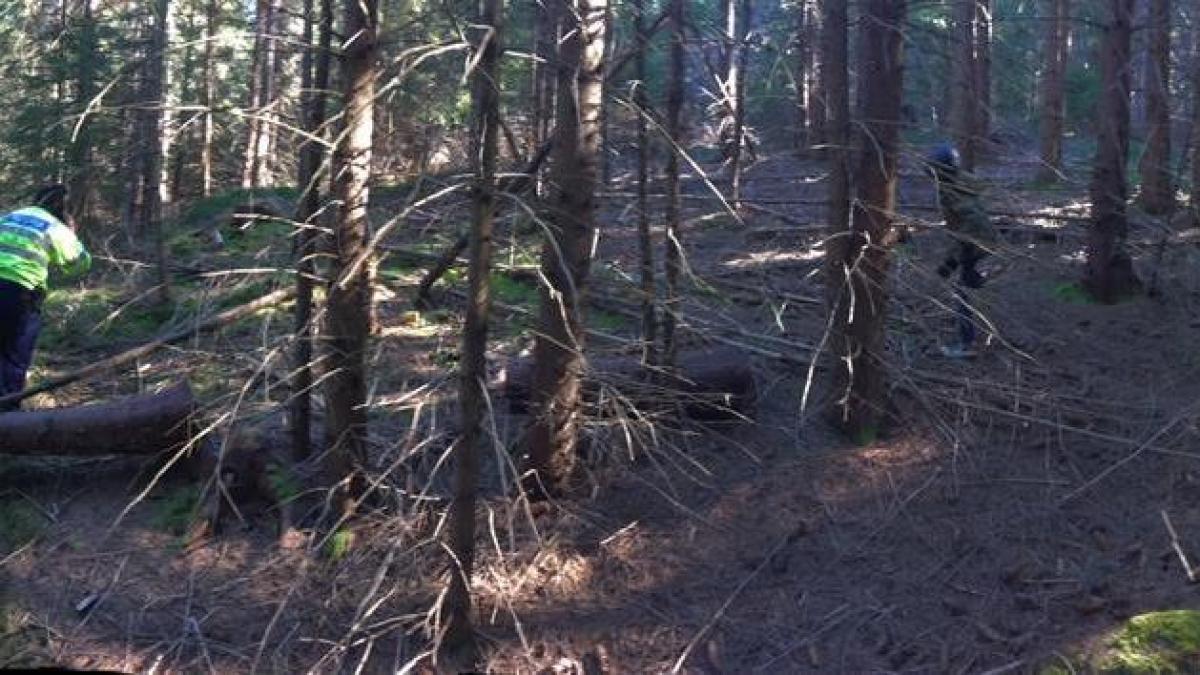 copil-disparut-in-padure_89775600