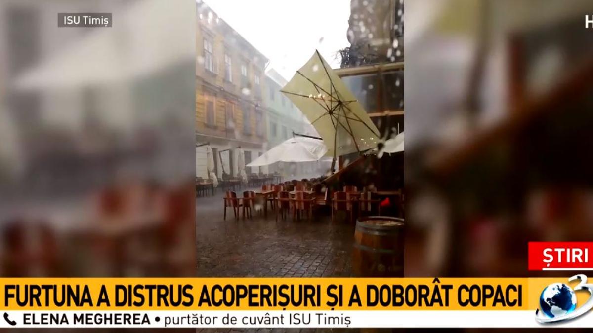 furtuna-timis_59962300