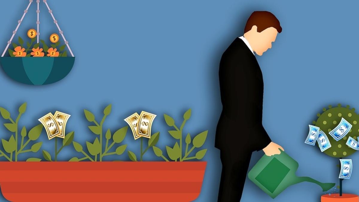 flori-plante-bani_00053700