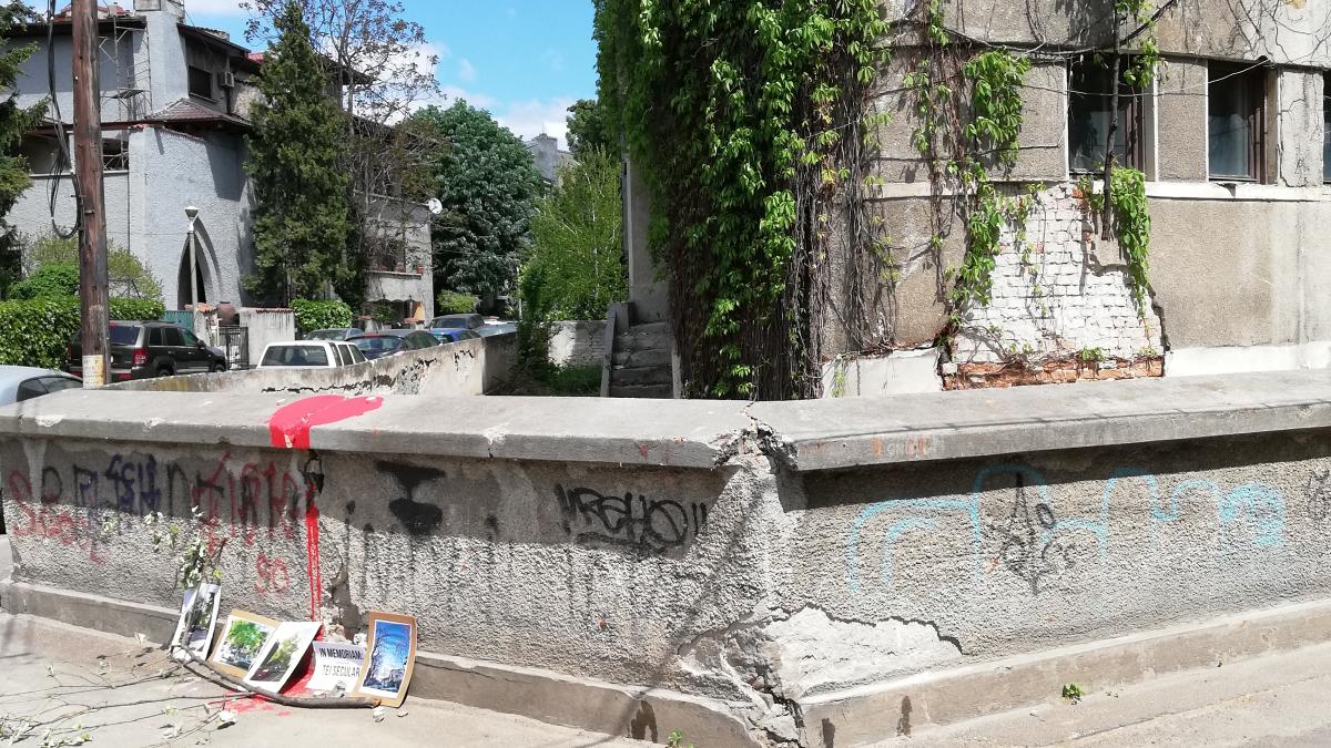 protest-tei-cotroceni-toma-ionesc_51447500