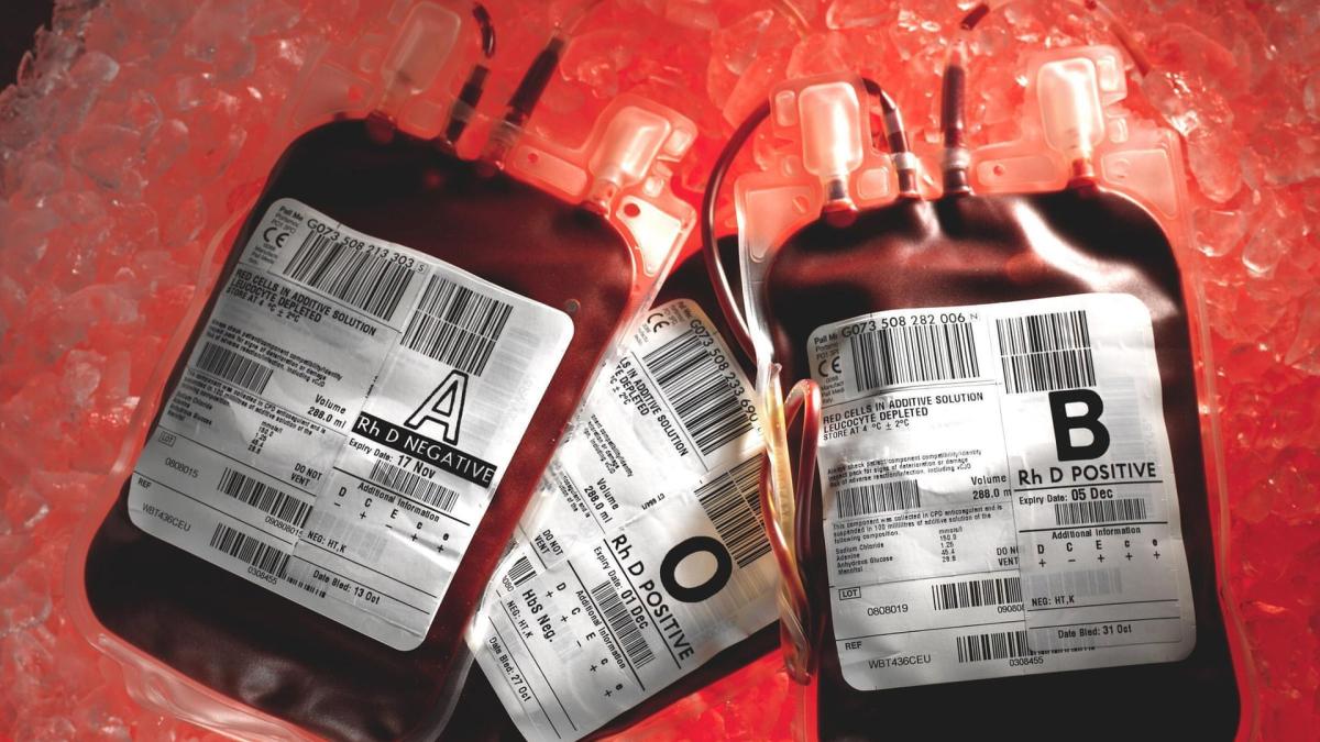 sange-anglia_22086900