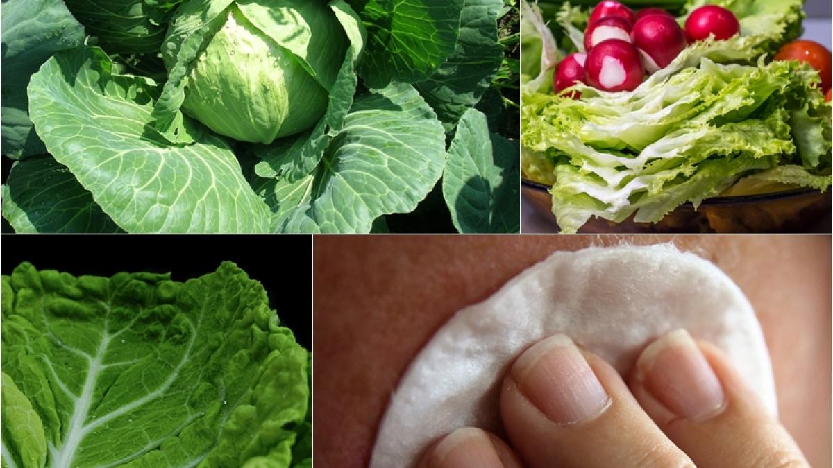 frunza-de-varza-truc_74654200