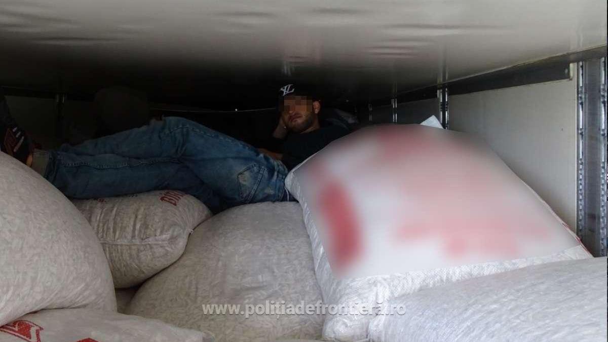 1557215169196-5615-s4_57916000