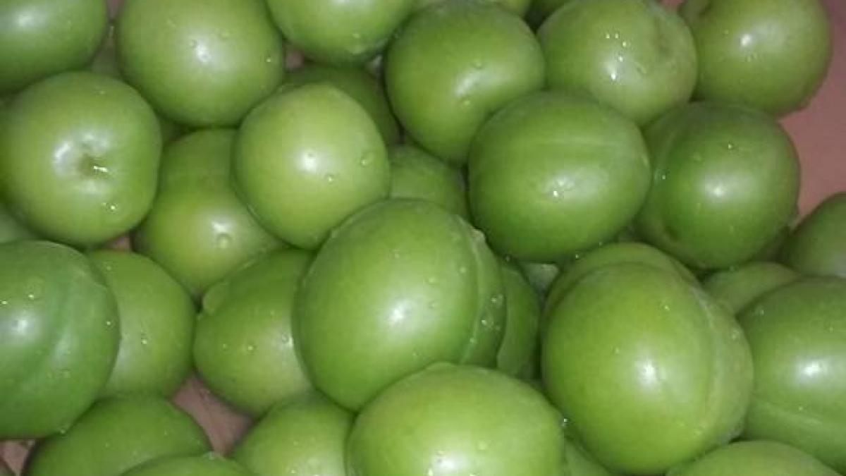 corcoduse123_64078600