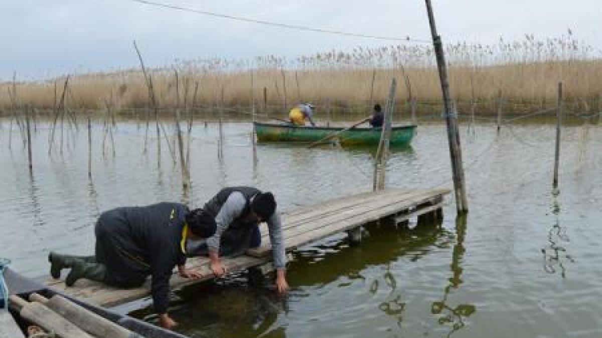 pescari_pescarie_acvacultura_15215600