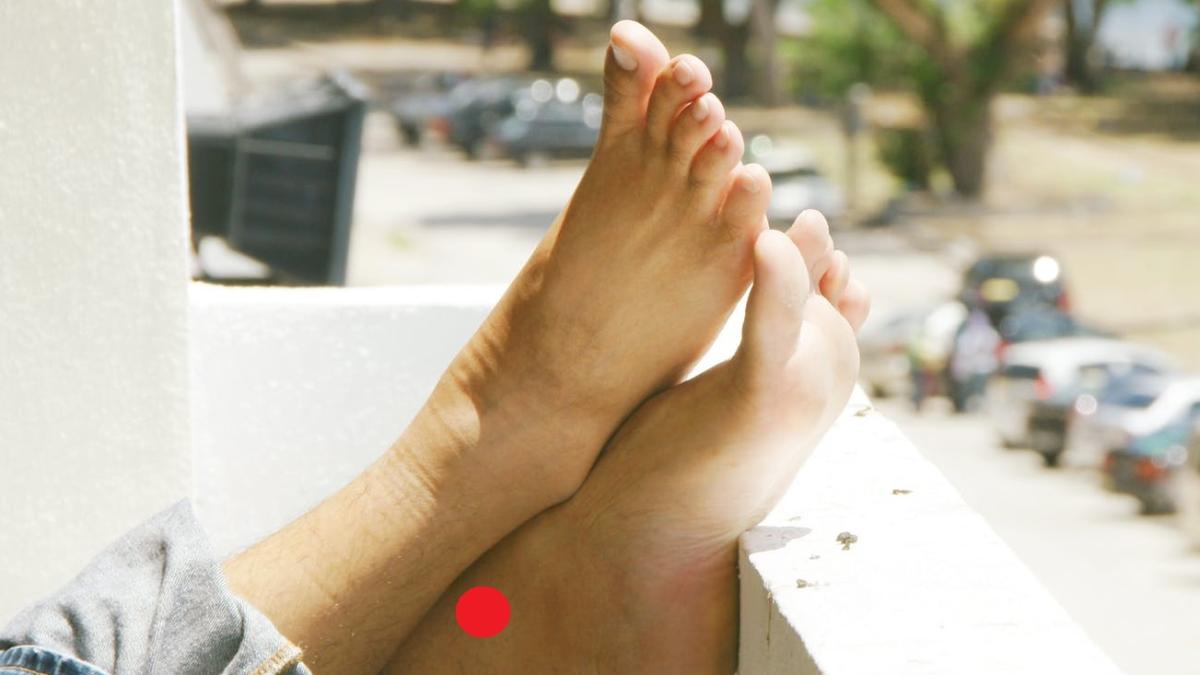 pexels-photo-908304_77183600