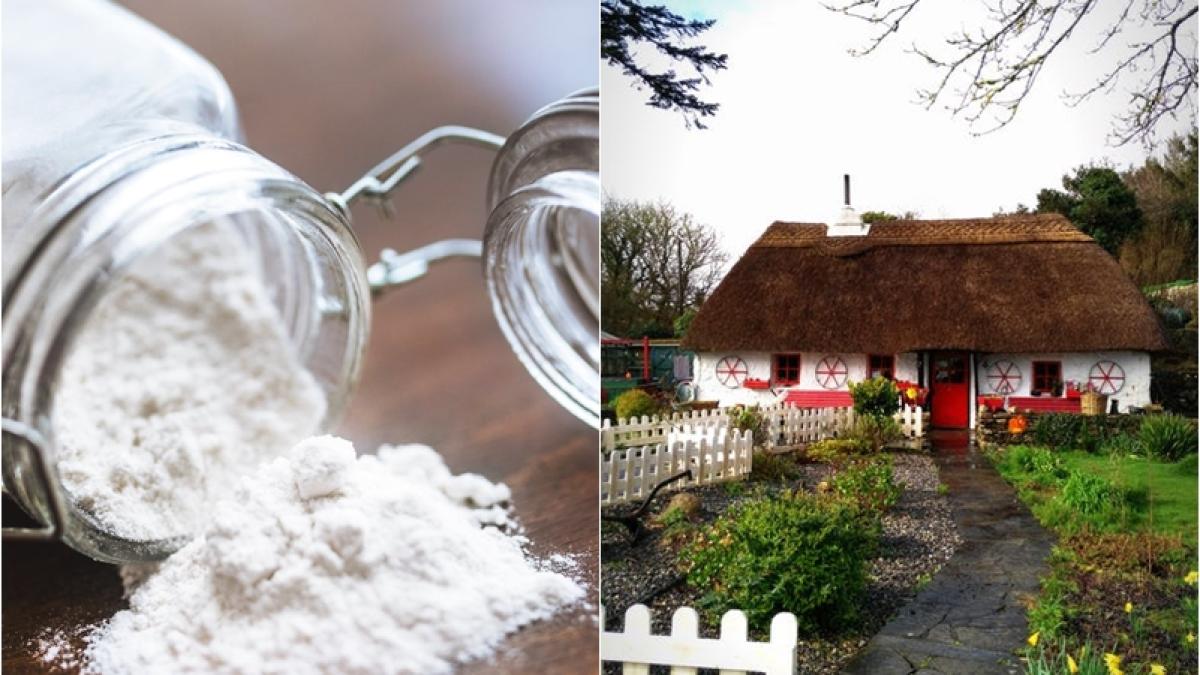 truc-bicarbonat-casa_41324700