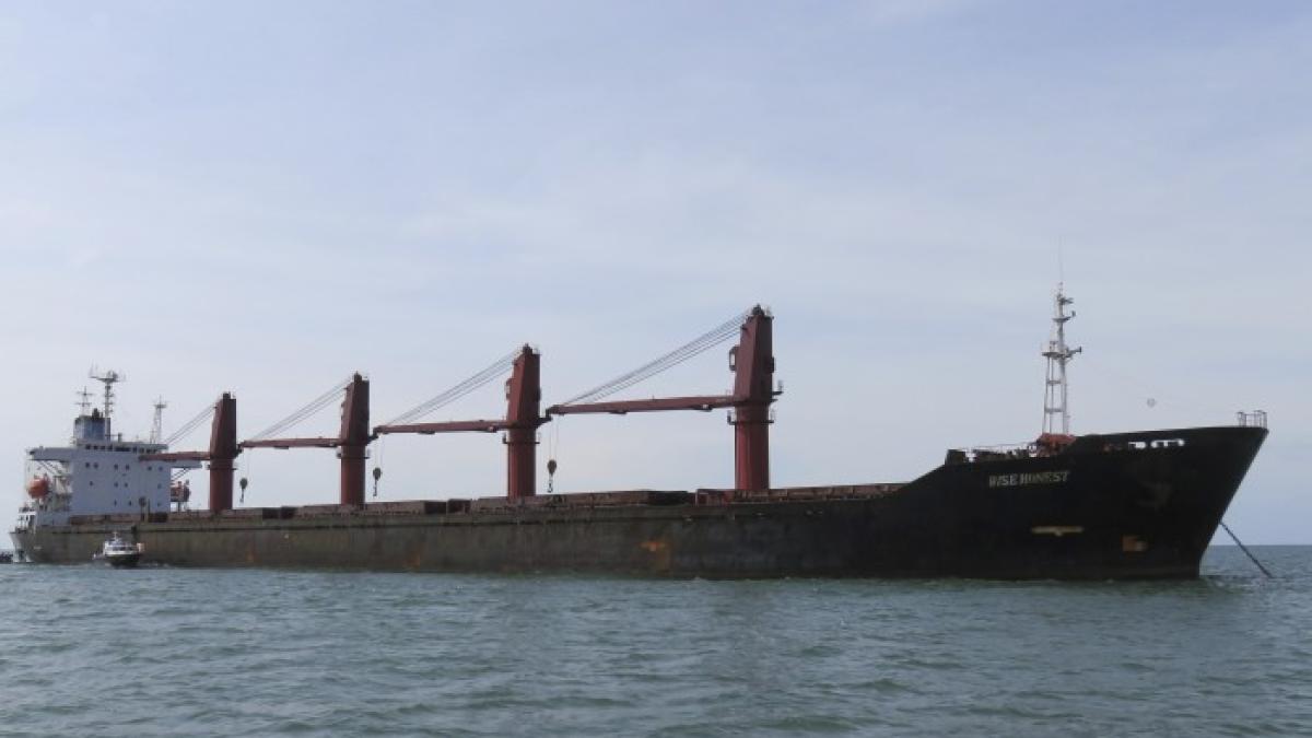 cargobotul-wise-honest_12477800