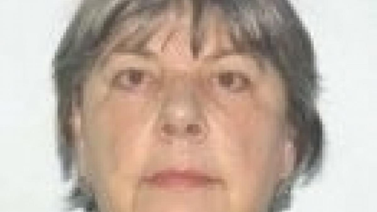 femeia_disparuta_07934900_66379200