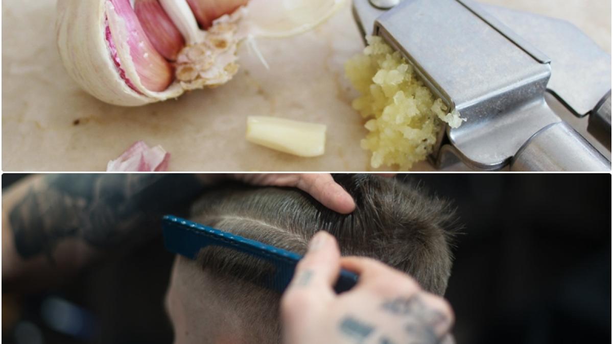 usturoi-truc-par_84166200