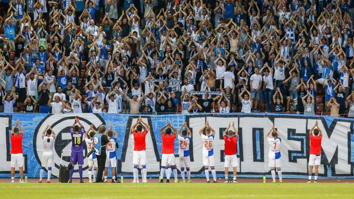 grasshopper-zurich_21788200