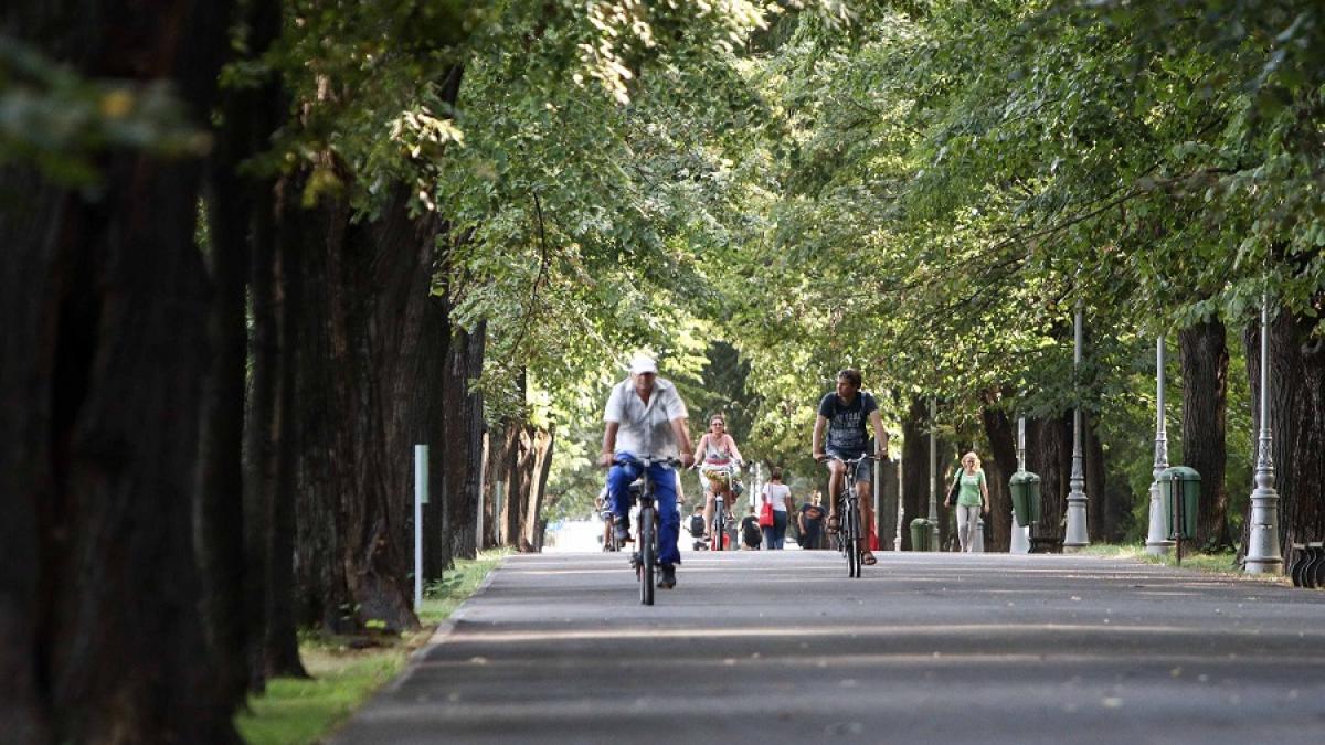 biciclete_parc_bucuresti_44242800