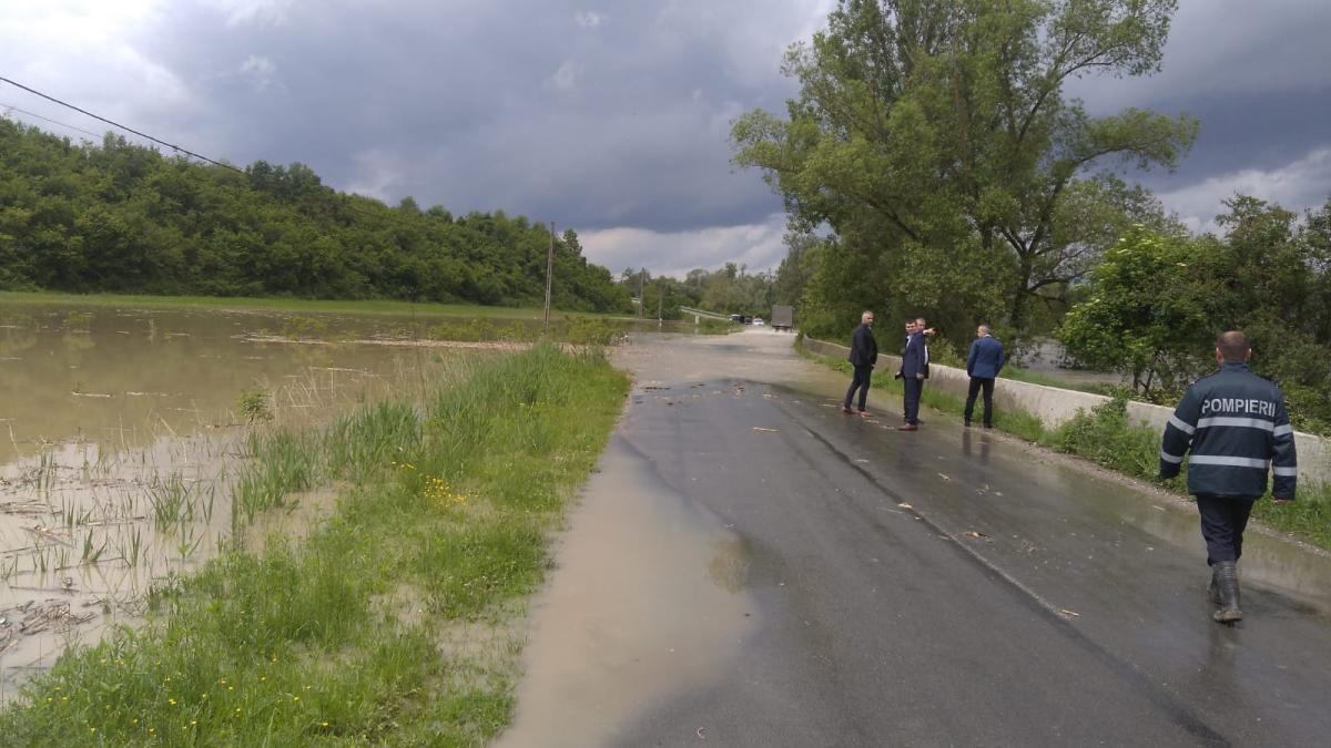 dd87eaed-0134-4688-89d8-6c72ee1db339_38483100