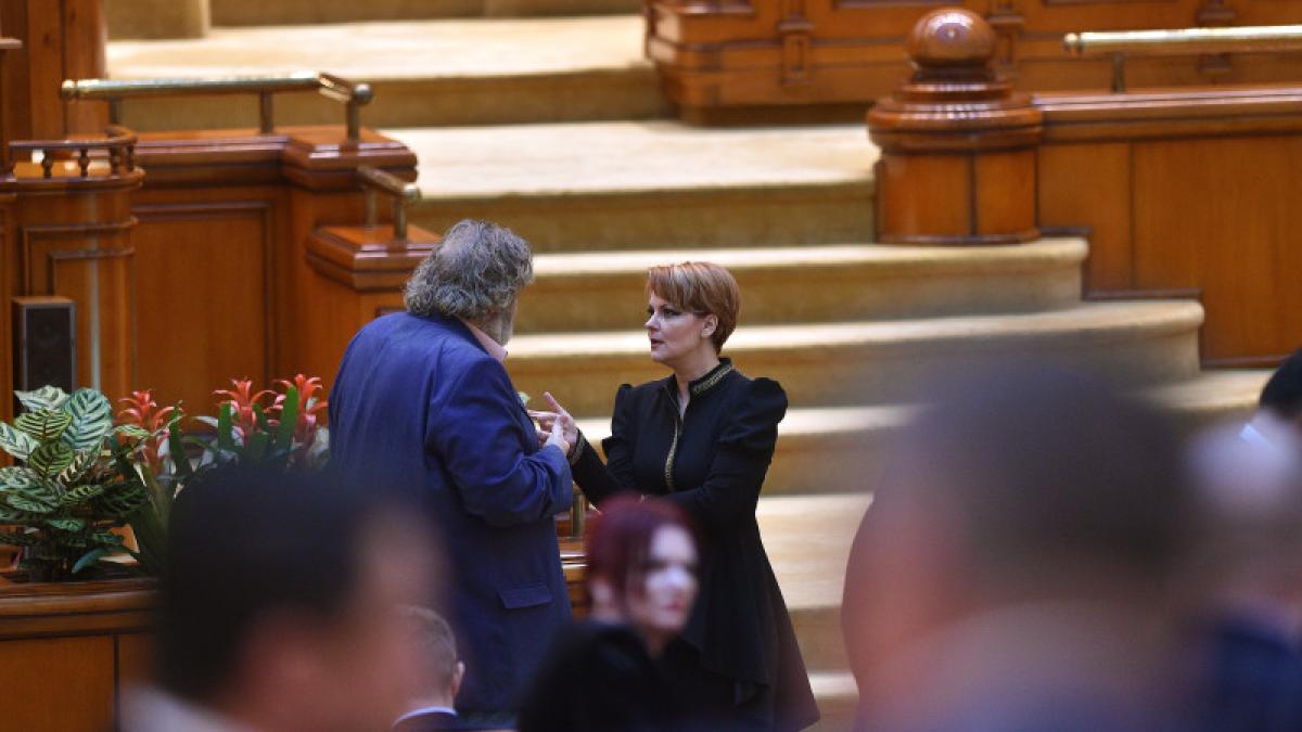 olguta-vasilescu_97289400