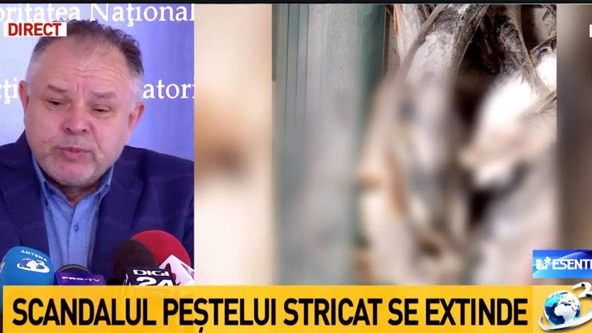 sef-anpc-peste_16064100