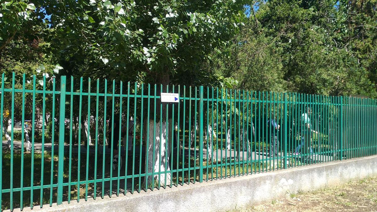 alegeri-26-mai-2019_67701600