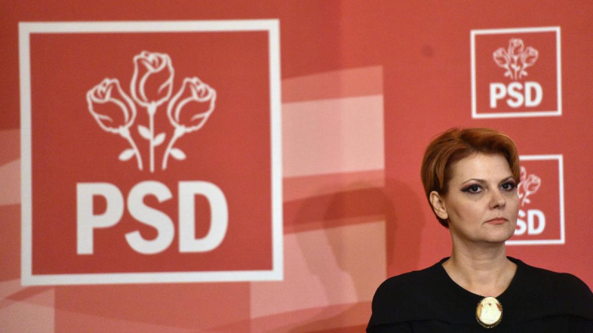 lia_olguta-vasilescu_82145800