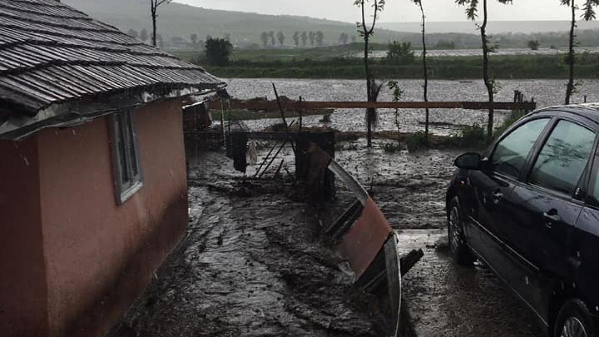 60823838_1040783779643145_9033758872937955328_n_31981200