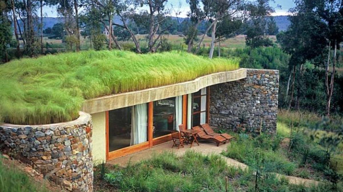 cladiri-eco_96958200