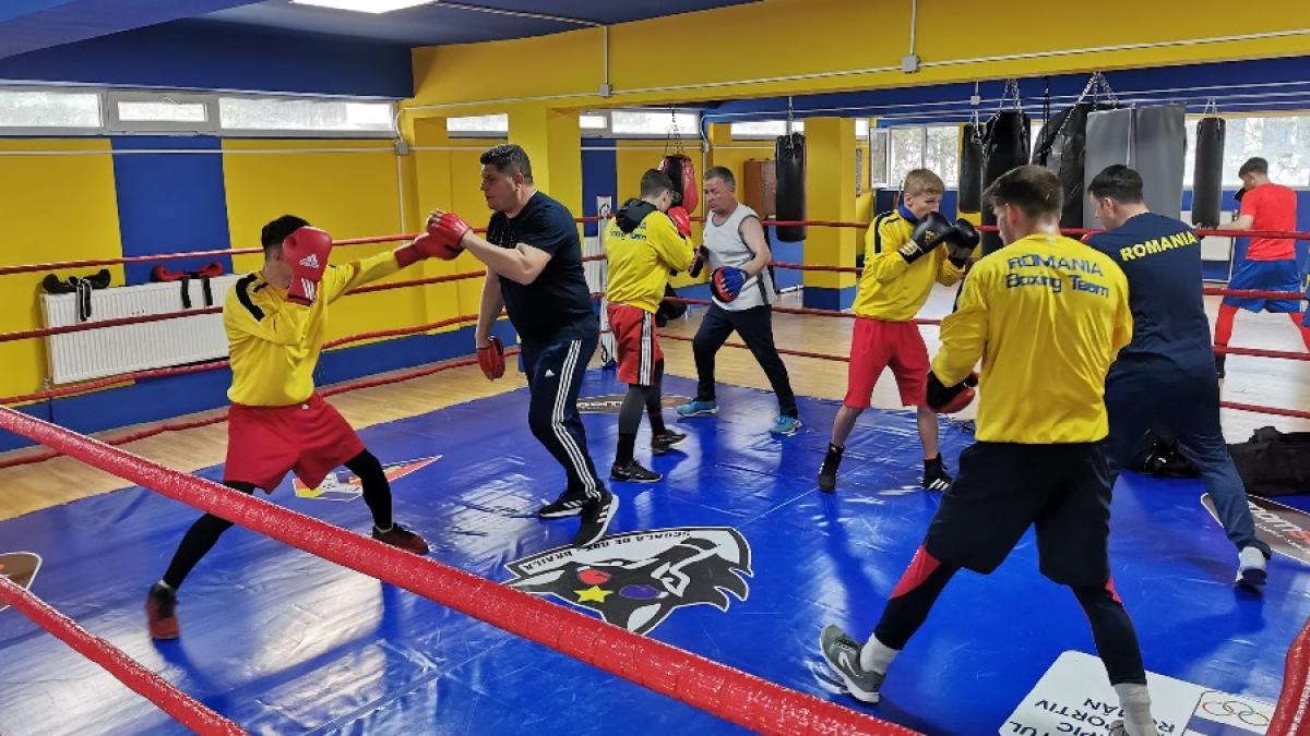 box_romania_juniori_88991500