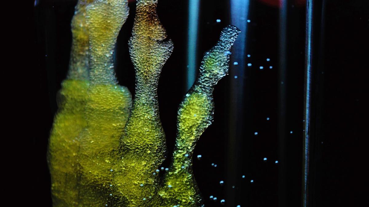 celule-stem_19845900