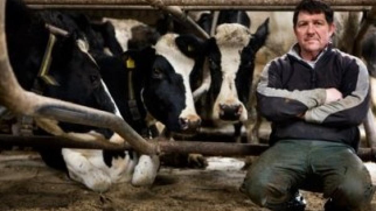 ferma-marea-britanie