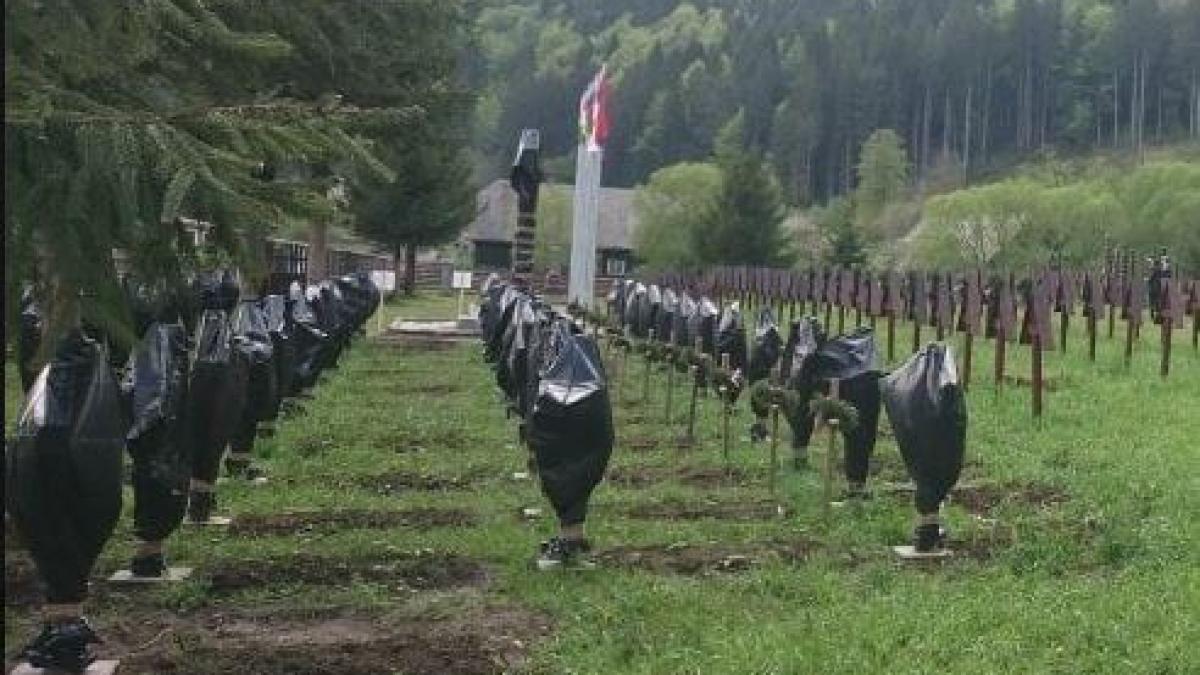 cruci_devastate_40612900