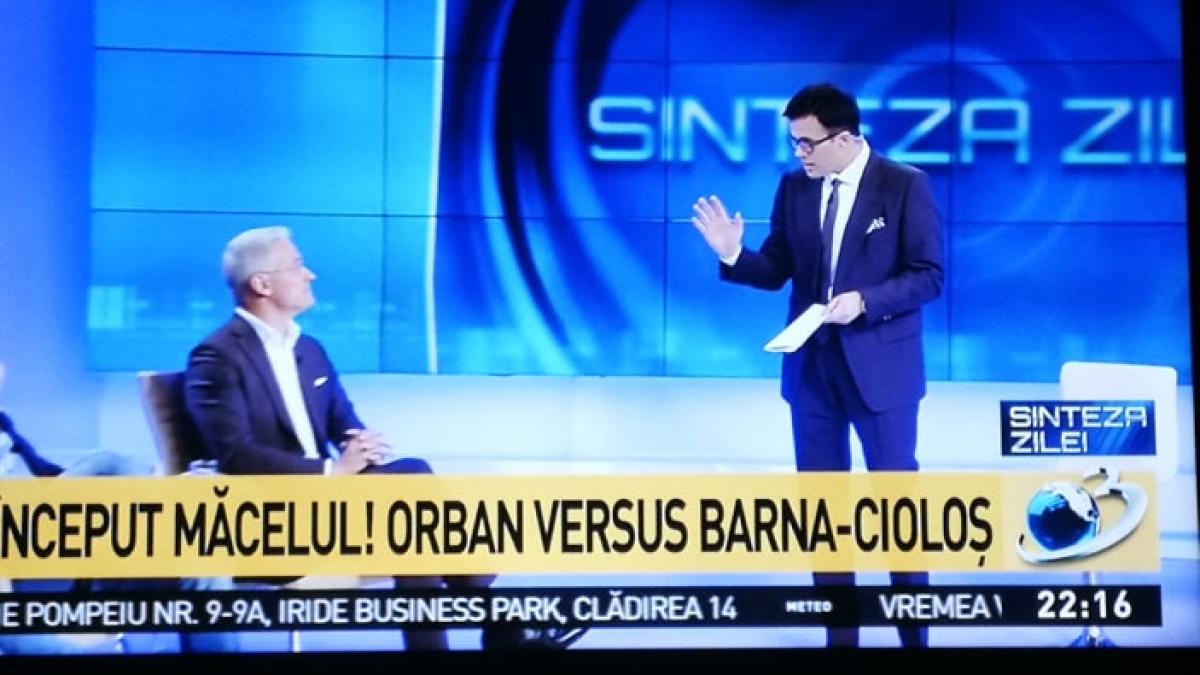 gadea-paslaru-cearta_74250400