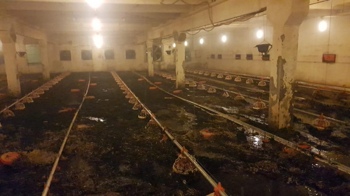 whatsapp-image-2019-05-31-at-11-03-58_31229300