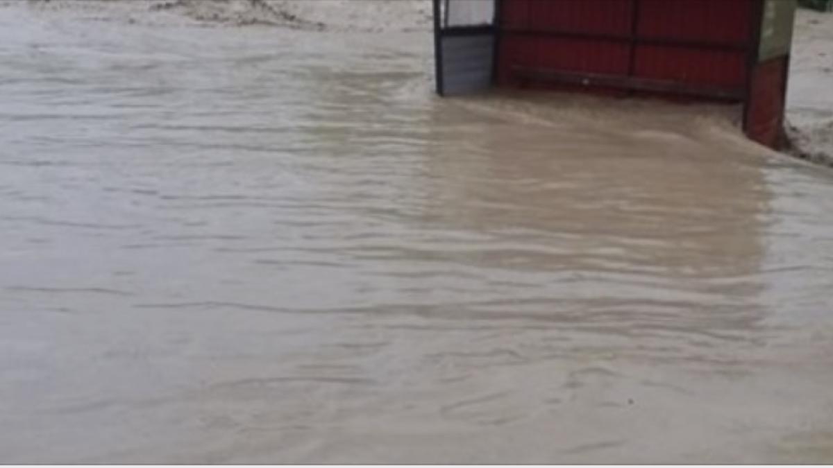 captura-de-ecran-din-2019-06-01-la-10-08-57_39623800