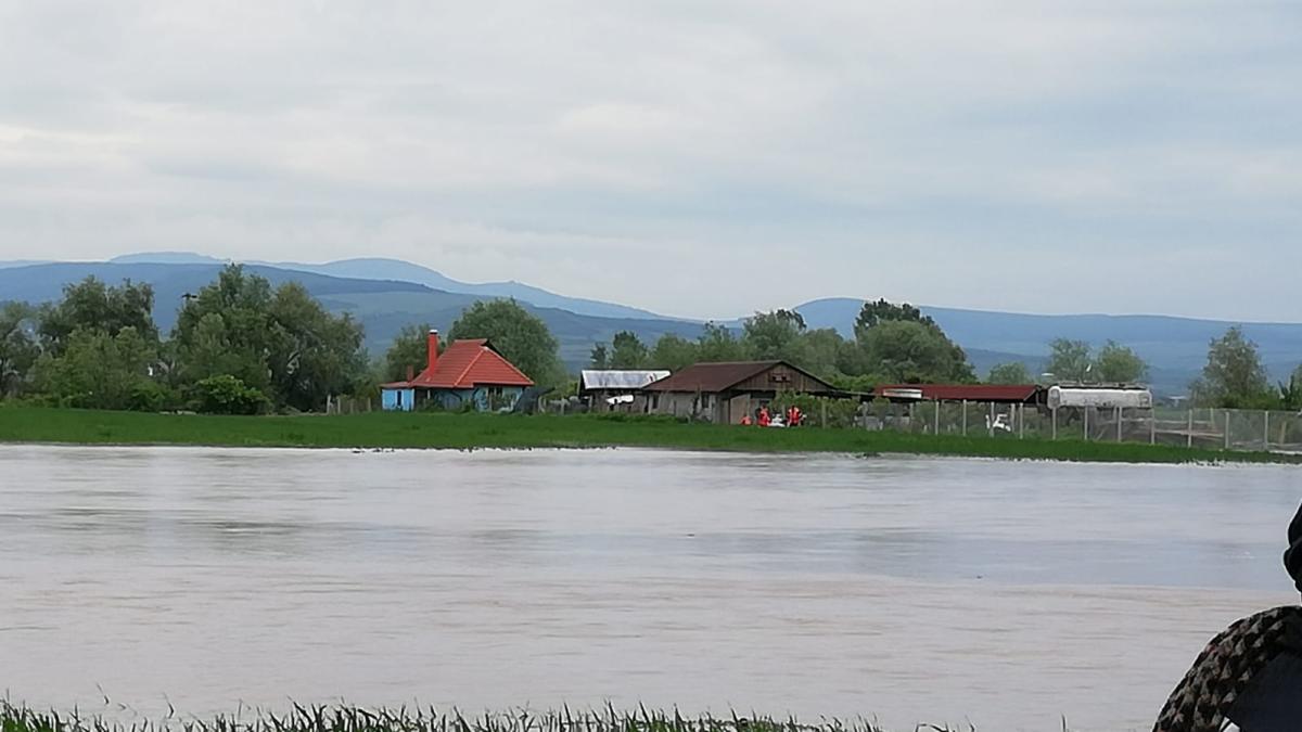 51630cb2-3e3c-4dbb-ba4e-52fea75aa07d_00852600