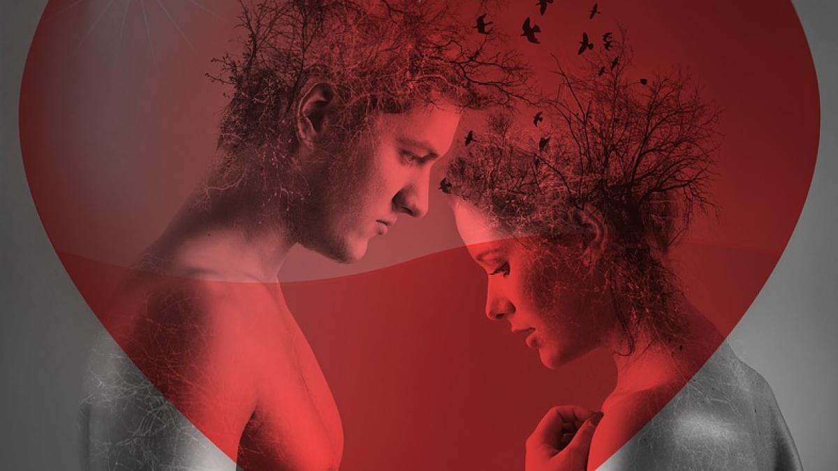 love-3189932_960_720_91276500