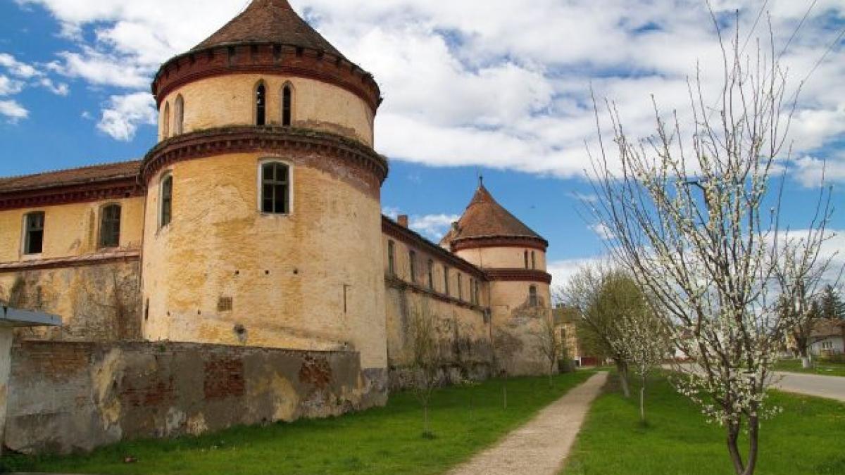 cetatea-ineu_46856800