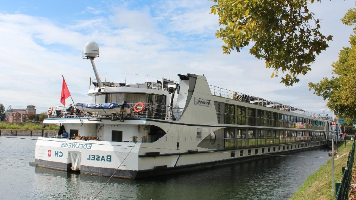 vascroaziera_49724300