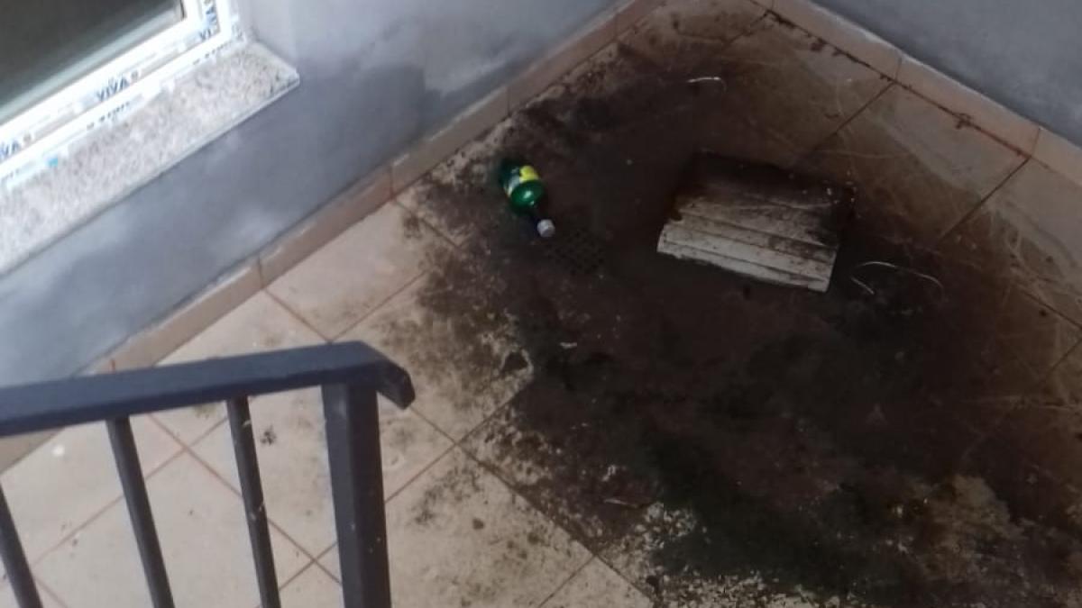 primarie-sector-4_15296300