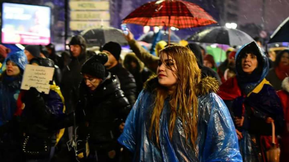 angi-serban_28686300