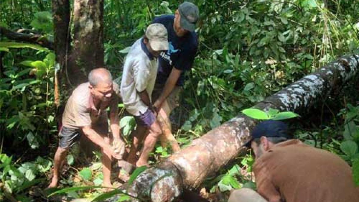 sri-lanka-paduri_87029000