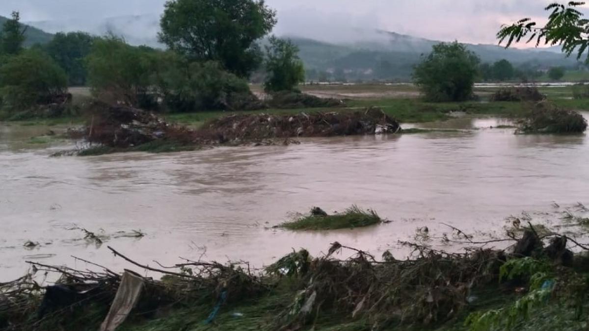 cricovul-sarat_87390500