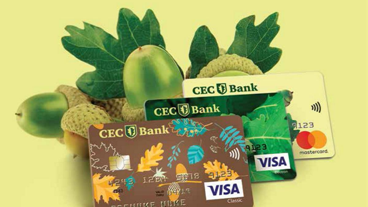 cec_bak_carduri_83123800