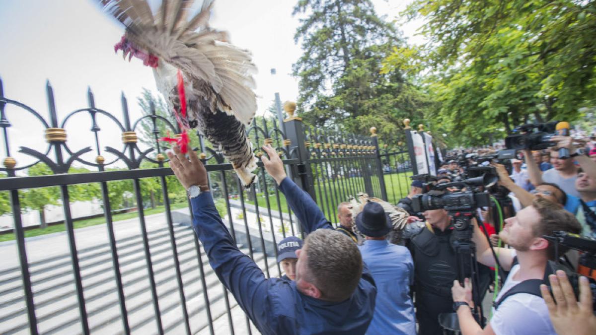 republica-moldova_08320800