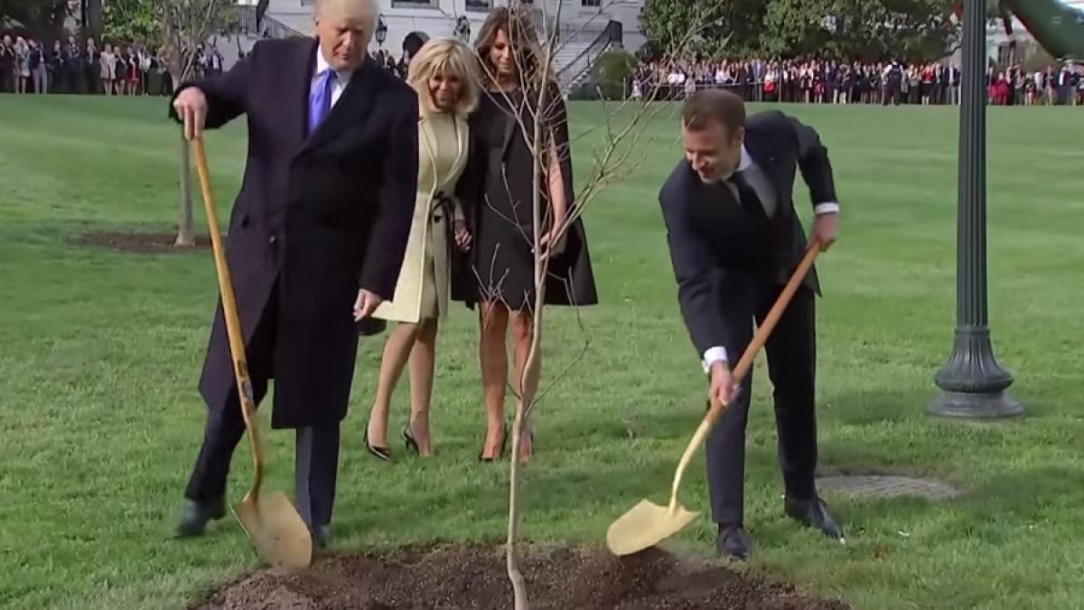 trump_macron_casa_alba_pomisor_99934300