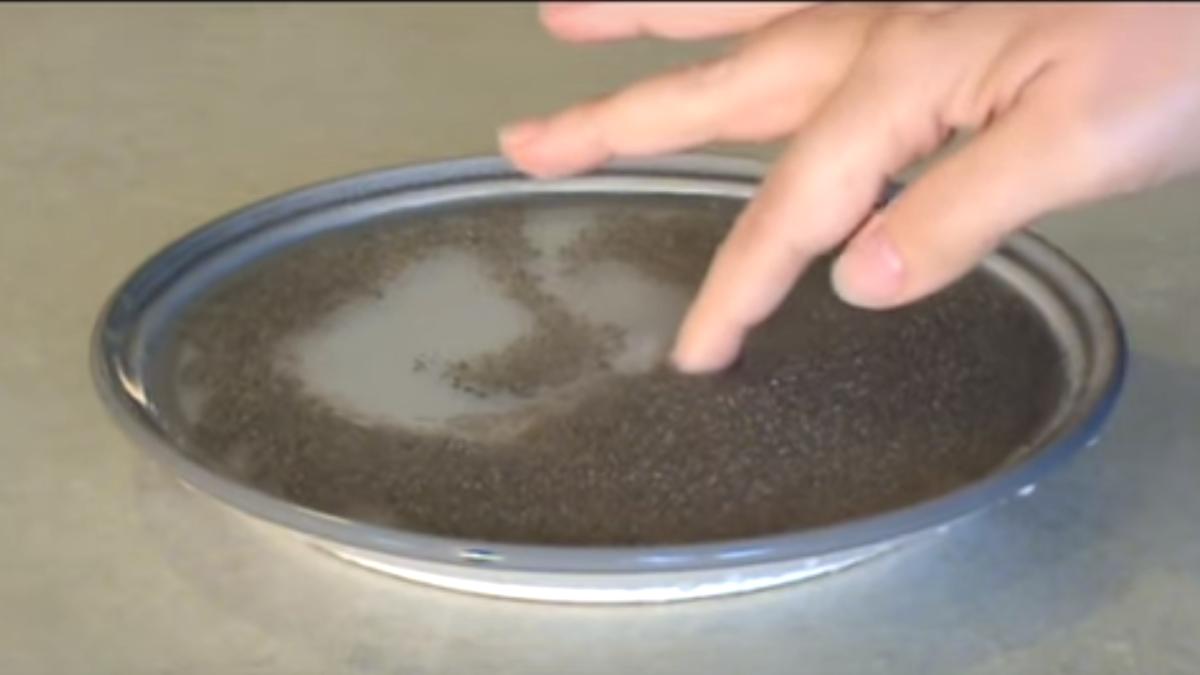 detergent-deget-apa-piper-experiment_82456100