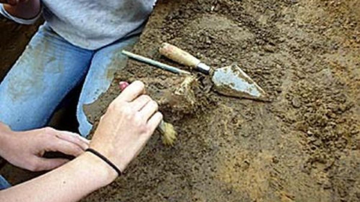 arheologi_la_lucru_23069200