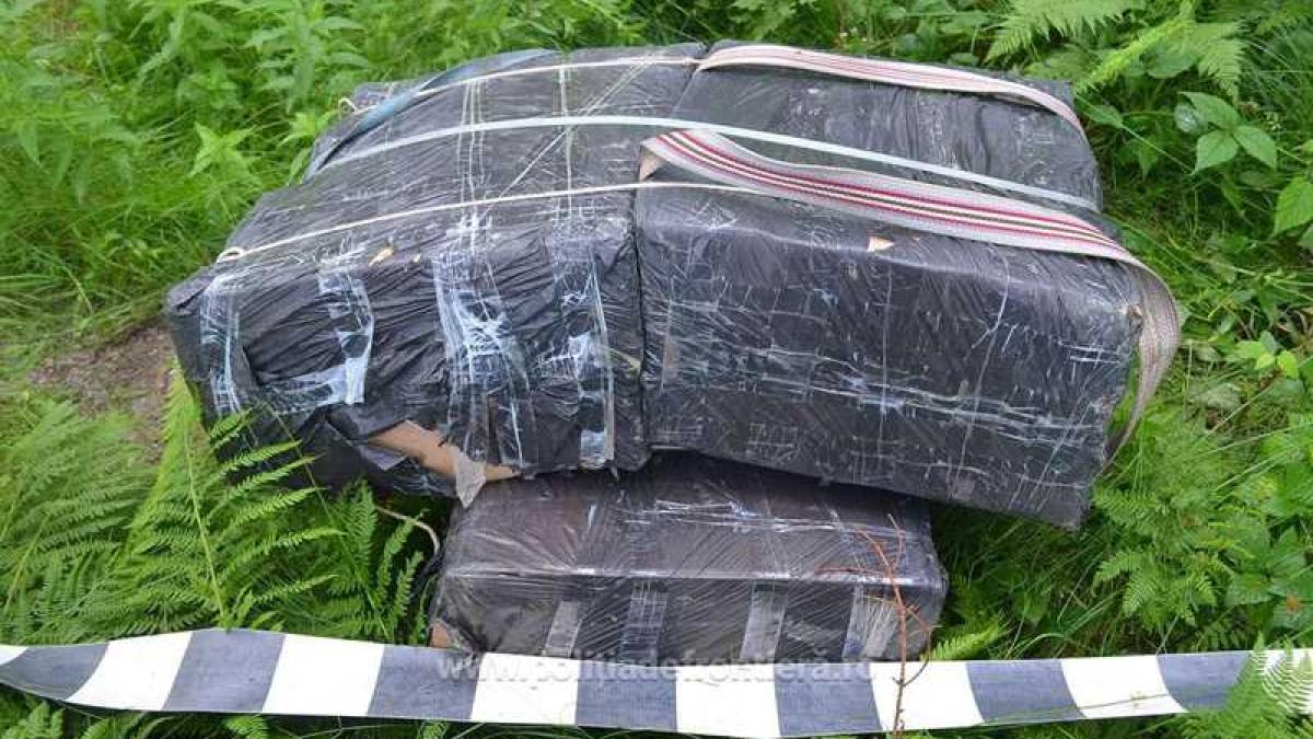 tigari_contrabanda_02_13743600