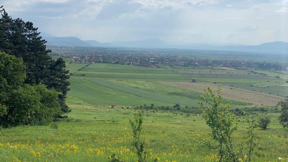 whatsapp-image-2019-06-17-at-18-18-14_87916700