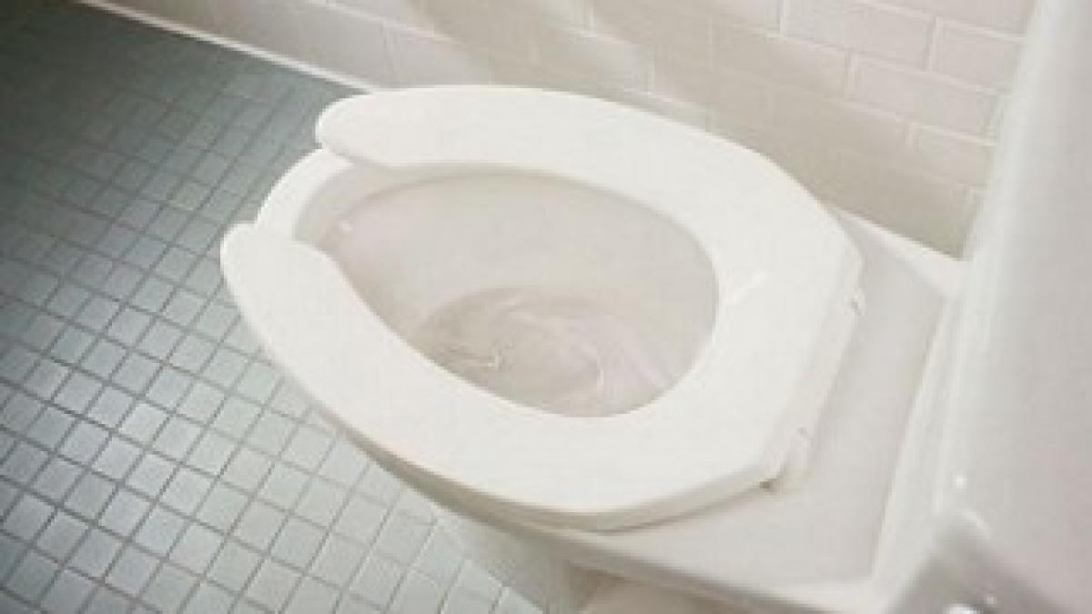 toaleta-dcnews-310x206