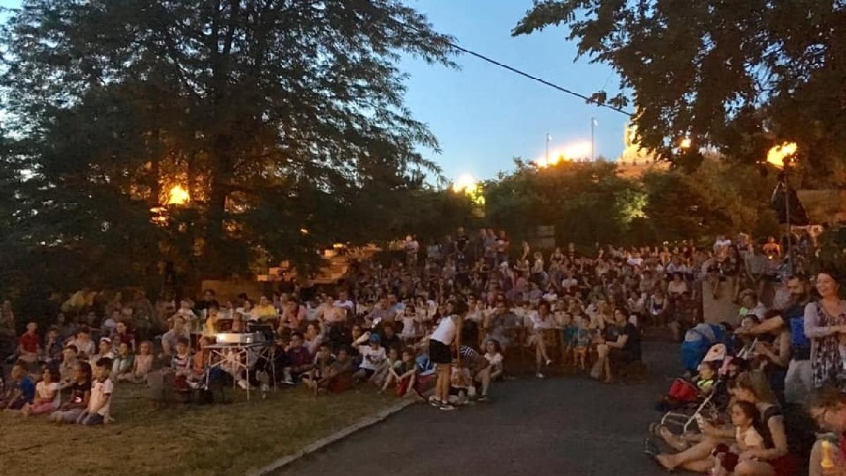 pelicam_2019_proiectie_99647100