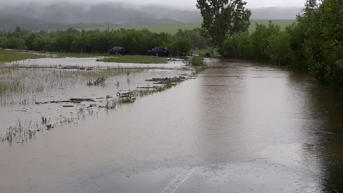 ec88433f-9fd5-41f7-97f7-2702b336c09b_16707900