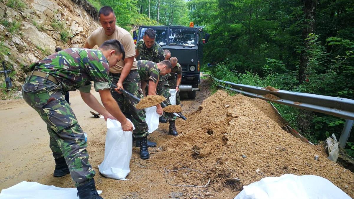 armata-sinistrati-ajutor-alba_42431600