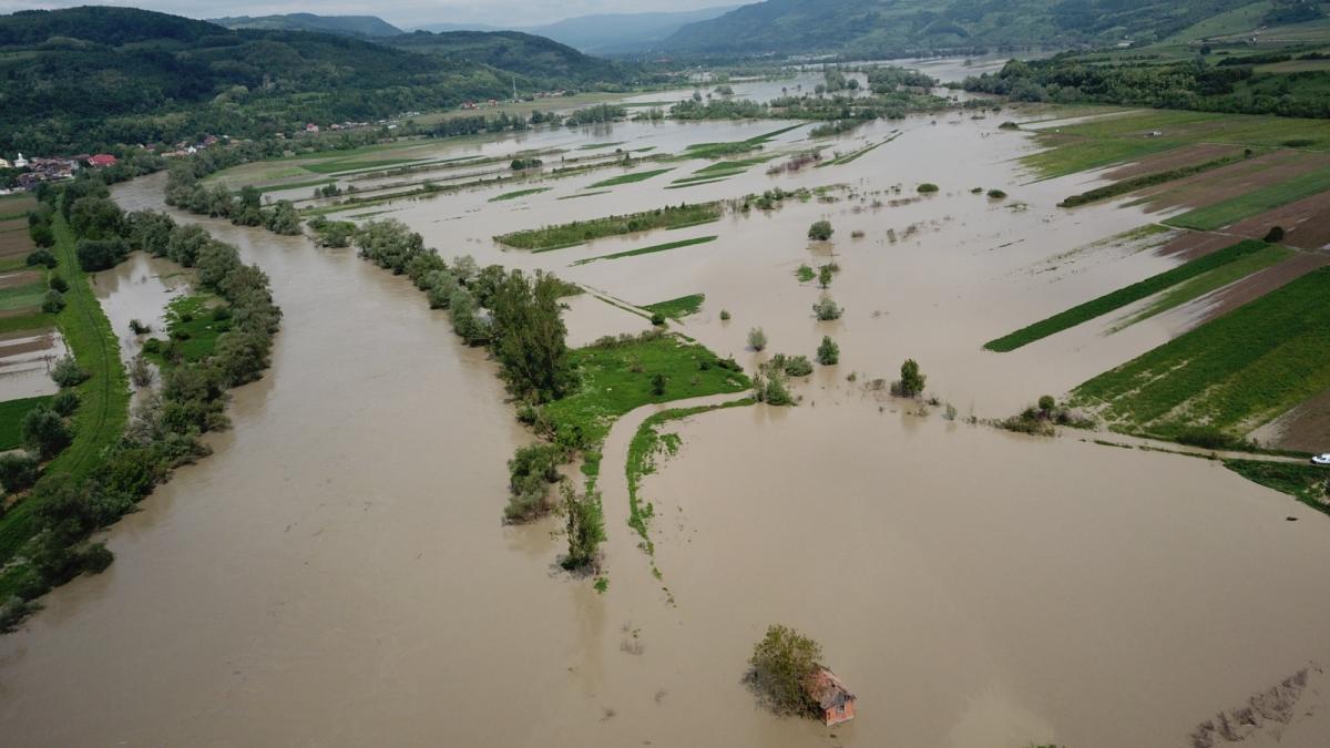 d2a040be-baf7-42e2-a979-b09313287d31_79713800